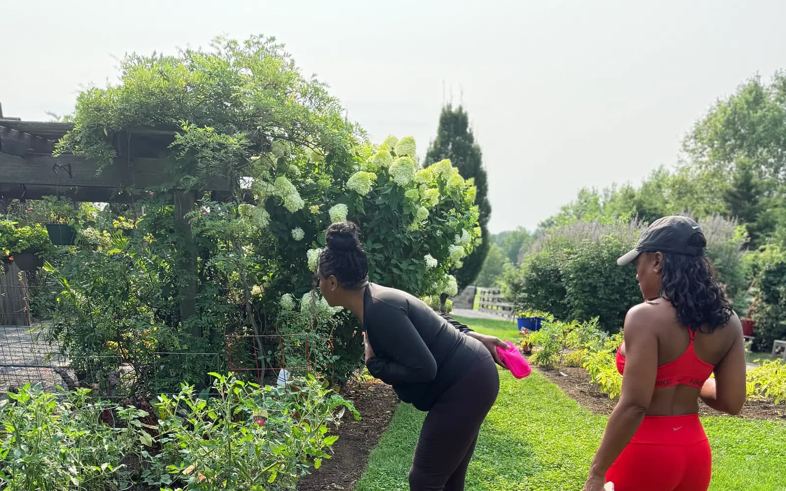 Two women tending a garden together outdoors